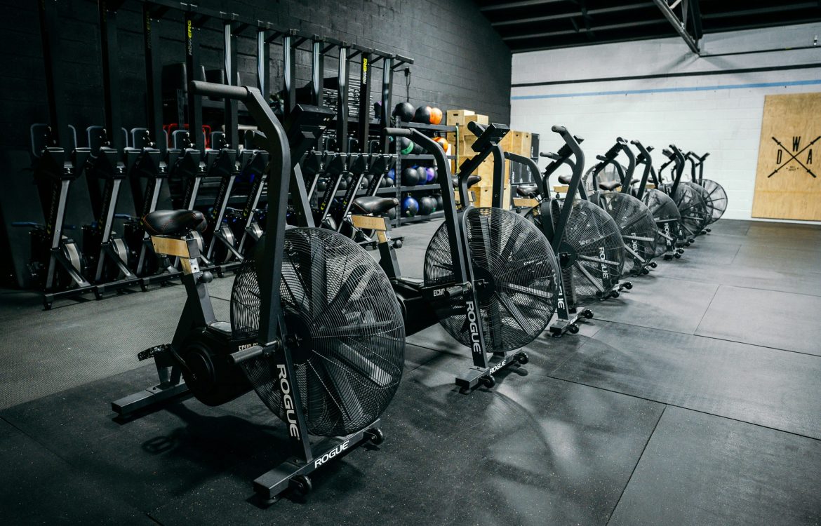 justin-fisher-pXP9_ev8jgA-unsplash